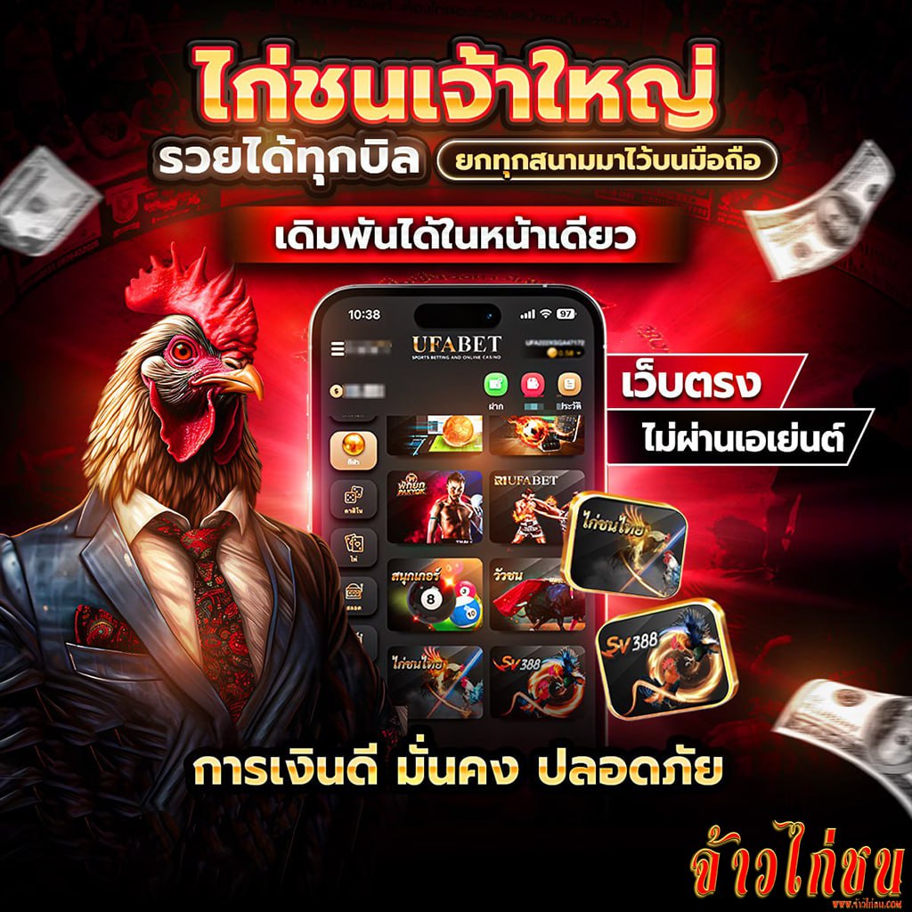 แทงไก่ชนสด