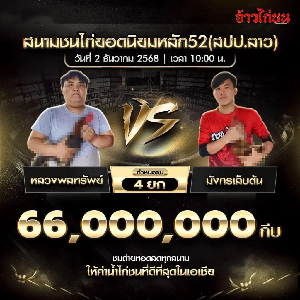ตารางแข่งขันไก่ชน สนามยอดนิยมหลัก52