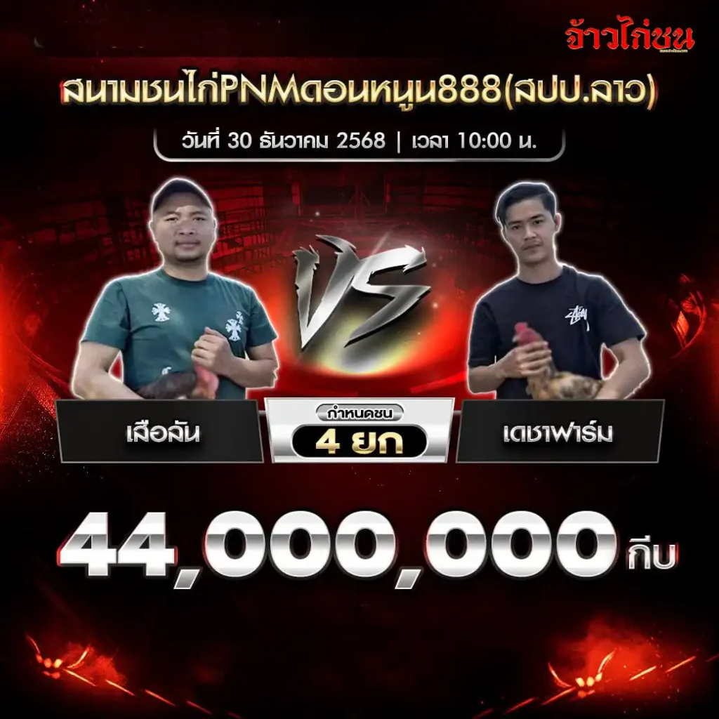ตารางการแข่งขันไก่ชน สนามชนไก่ PNM ดอนหนูน 888 สปป.ลาว วันที่ 30 ธันวาคม 2568