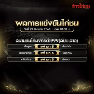 สรุปผลไก่ชน สนามชนไก่มังกรดำ999 สปป.ลาว วันที่ 29 ธันวาคม 2568
