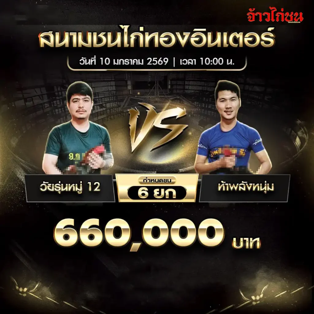 ตารางการแข่งขันไก่ชน สนามชนไก่ทองอินเตอร์ วันที่ 10 มกราคม 2568