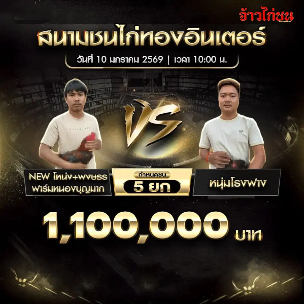 ตารางการแข่งขันไก่ชน สนามชนไก่ทองอินเตอร์ วันที่ 10 มกราคม 2568