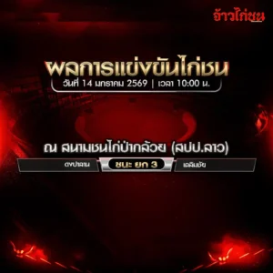 สรุปผลไก่ชน สนามชนไก่ปากล้วย 14 มกราคม 2569