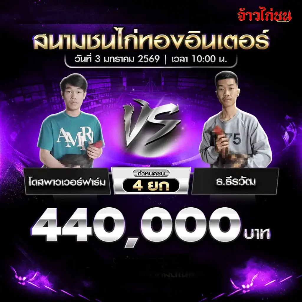 ตารางการแข่งขันไก่ชน สนามชนไก่ทองอินเตอร์