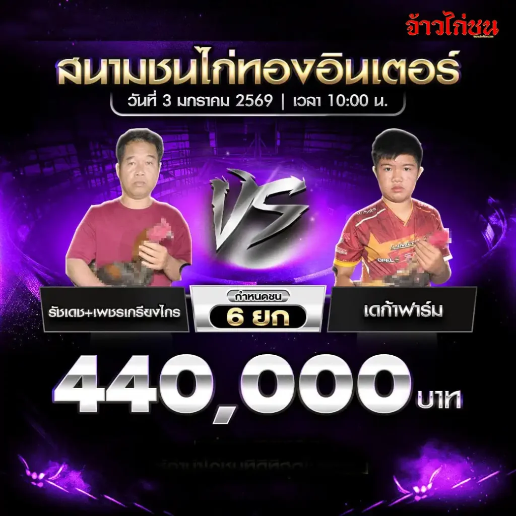 โปรแกรมการแข่งขันไก่ชน สนามชนไก่ทองอินเตอร์ วันที่ 3 มกราคม 2569 เริ่มเวลา 10:00 น.
