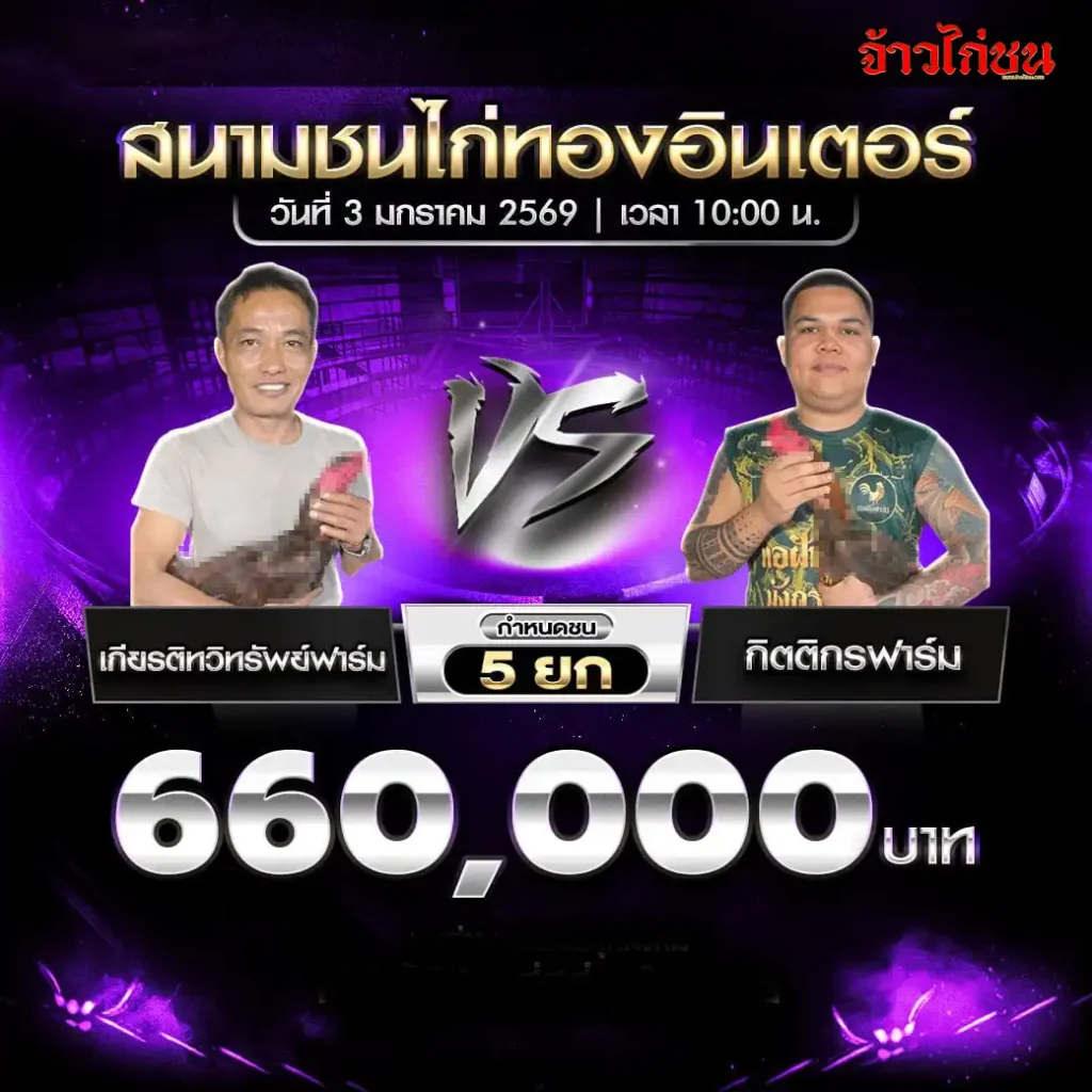 โปรแกรมการแข่งขันไก่ชน สนามชนไก่ทองอินเตอร์ วันที่ 3 มกราคม 2569 เริ่มเวลา 10:00 น.