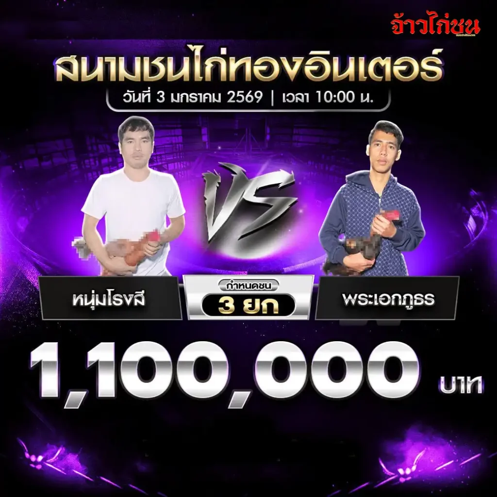 โปรแกรมการแข่งขันไก่ชน สนามชนไก่ทองอินเตอร์ วันที่ 3 มกราคม 2569 เริ่มเวลา 10:00 น.