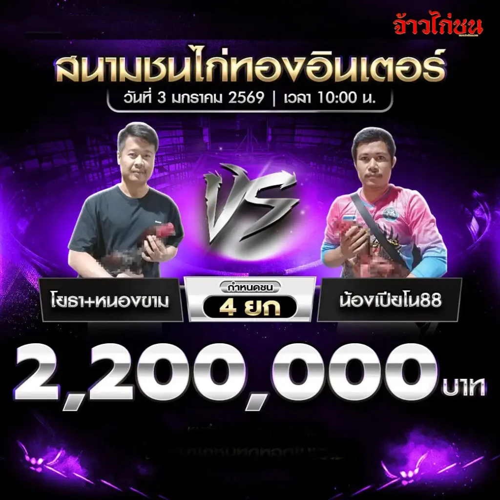 โปรแกรมการแข่งขันไก่ชน สนามชนไก่ทองอินเตอร์ วันที่ 3 มกราคม 2569 เริ่มเวลา 10:00 น.
