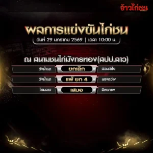 ผลการแข่งขันไก่ชน สนามชนไก่มังกรทอง สปป.ลาว วันที่ 29 มกราคม 2569