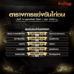 โปรแกรมไก่ชน สนามชนไก่มหาลาภ วันที่ 14 กุมภาพันธ์ 2569
