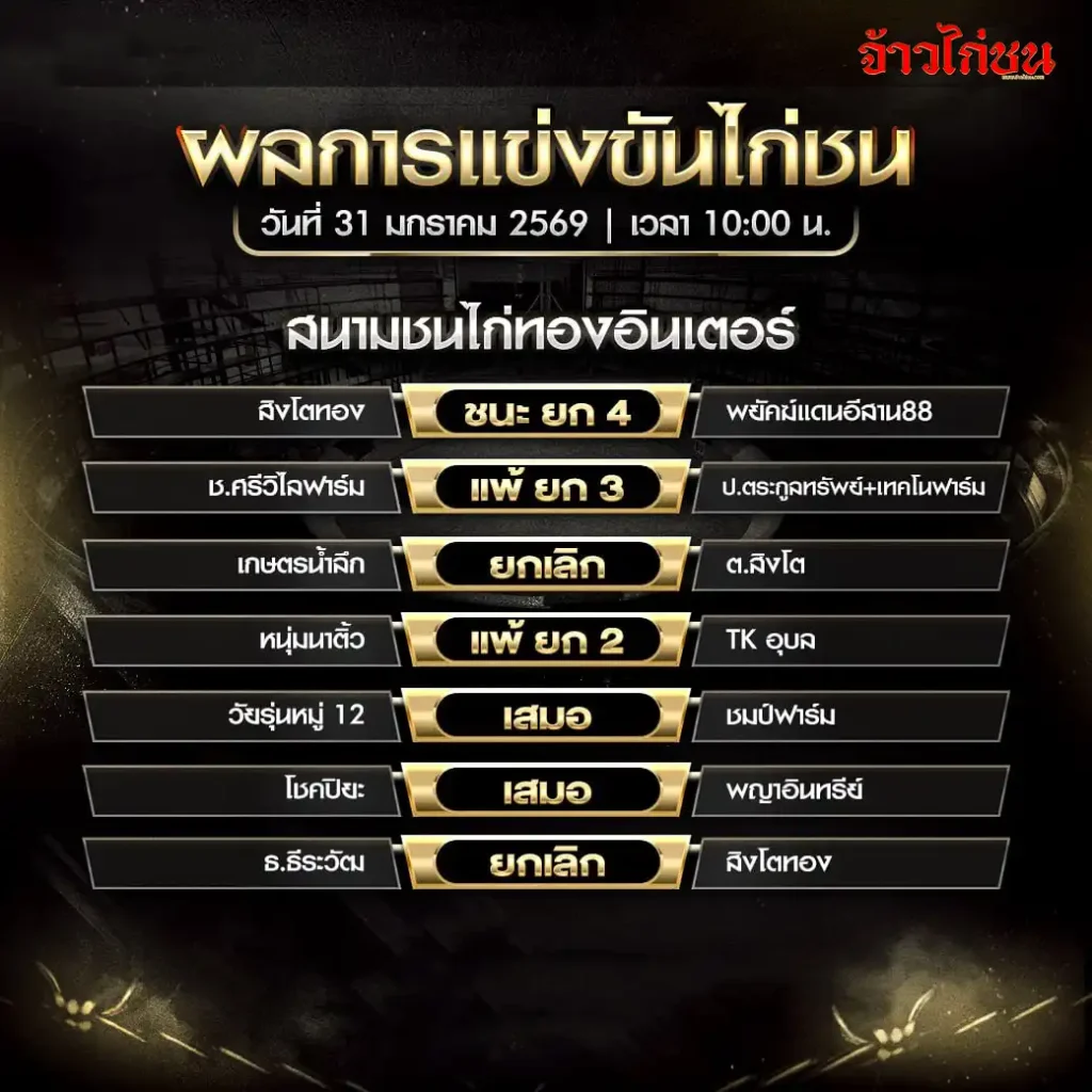 สรุปผลการแข่งขันไก่ชน สนามชนไก่ทองอินเตอร์ วันที่ 31 มกราคม 2569
