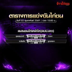 ตารางการแข่งขันไก่ชน สนามชนไก่เหล็กไหล สปป.ลาว วันที่ 2 กุมภาพันธ์ 2569