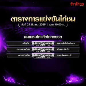 โปรแกรมไก่ชน แก้วโคกกรวด 29 มีนาคม 2569