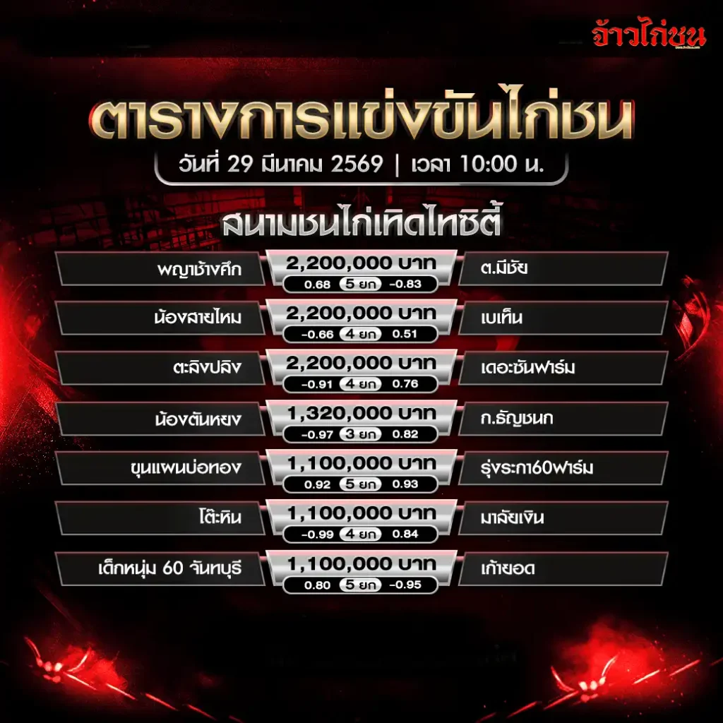 โปรแกรมไก่ชน เทิดไทซิตี้ 29 มีนาคม 2569