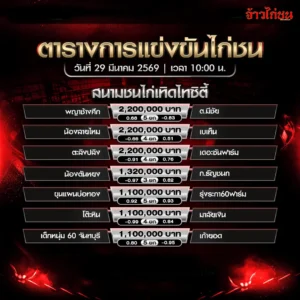 โปรแกรมไก่ชน เทิดไทซิตี้ 29 มีนาคม 2569