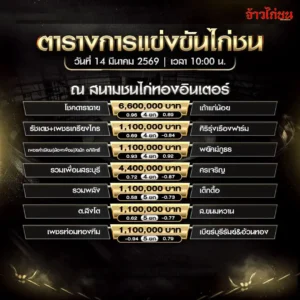 ตารางการแข่งขันไก่ชน สนามชนไก่ทองอินเตอร์ 14 มีนาคม 2569 โปรแกรมไก่ชนวันนี้