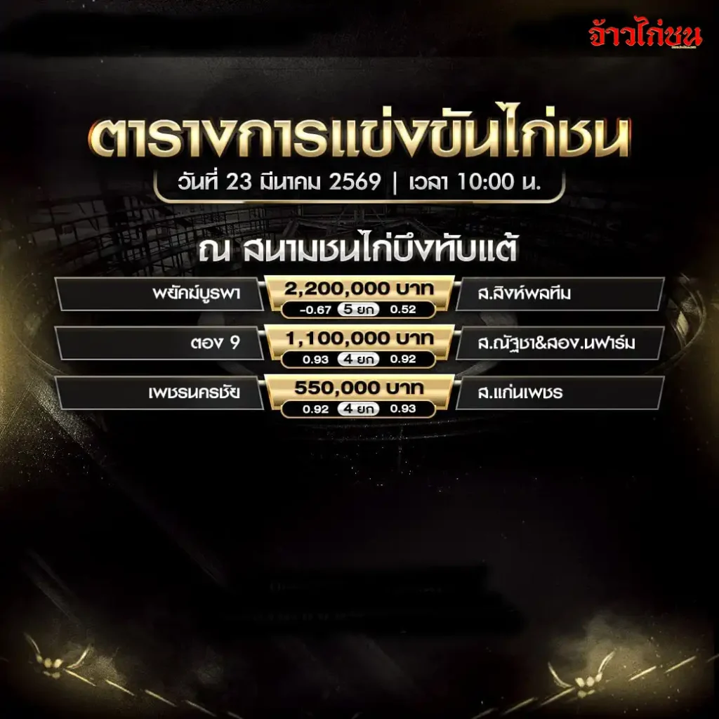 โปรแกรมไก่ชนวันนี้ สนามบึงทับแต้ 23 มีนาคม 2569