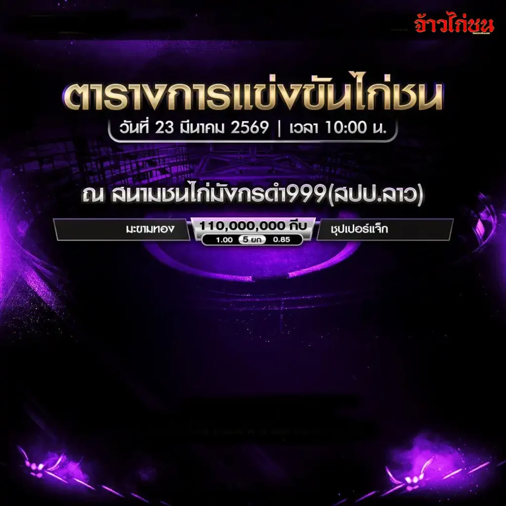 โปรแกรมไก่ชนวันนี้ สนามมังกรดำ999 23 มีนาคม 2569