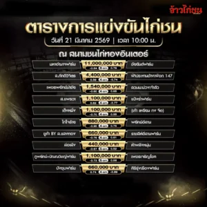 โปรแกรมไก่ชนวันนี้ สนามทองอินเตอร์ 21 มีนาคม 2569