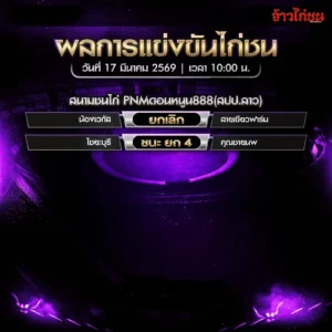 สรุปผลไก่ชน PNM ดอนหนูน888 วันที่ 17 มีนาคม 2569