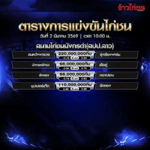 โปรแกรมไก่ชน สนามมังกรดำ999 2 มีนาคม 2569 คู่เงิน 220,000,000 กีบ