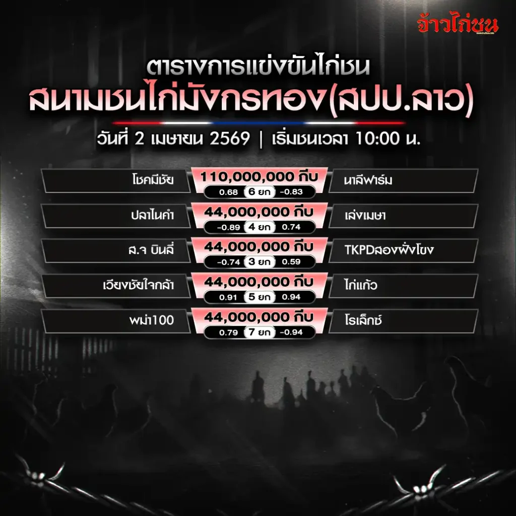 โปรแกรมไก่ชน สนามชนไก่มังกรทอง 2 เมษายน 2569