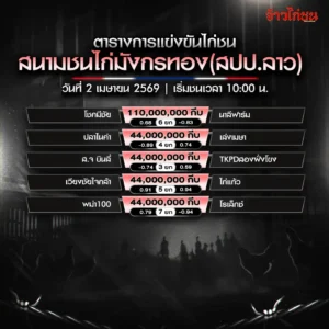 โปรแกรมไก่ชน สนามชนไก่มังกรทอง 2 เมษายน 2569