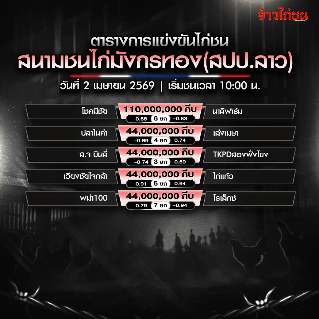 โปรแกรมไก่ชน สนามชนไก่มังกรทอง 2 เมษายน 2569