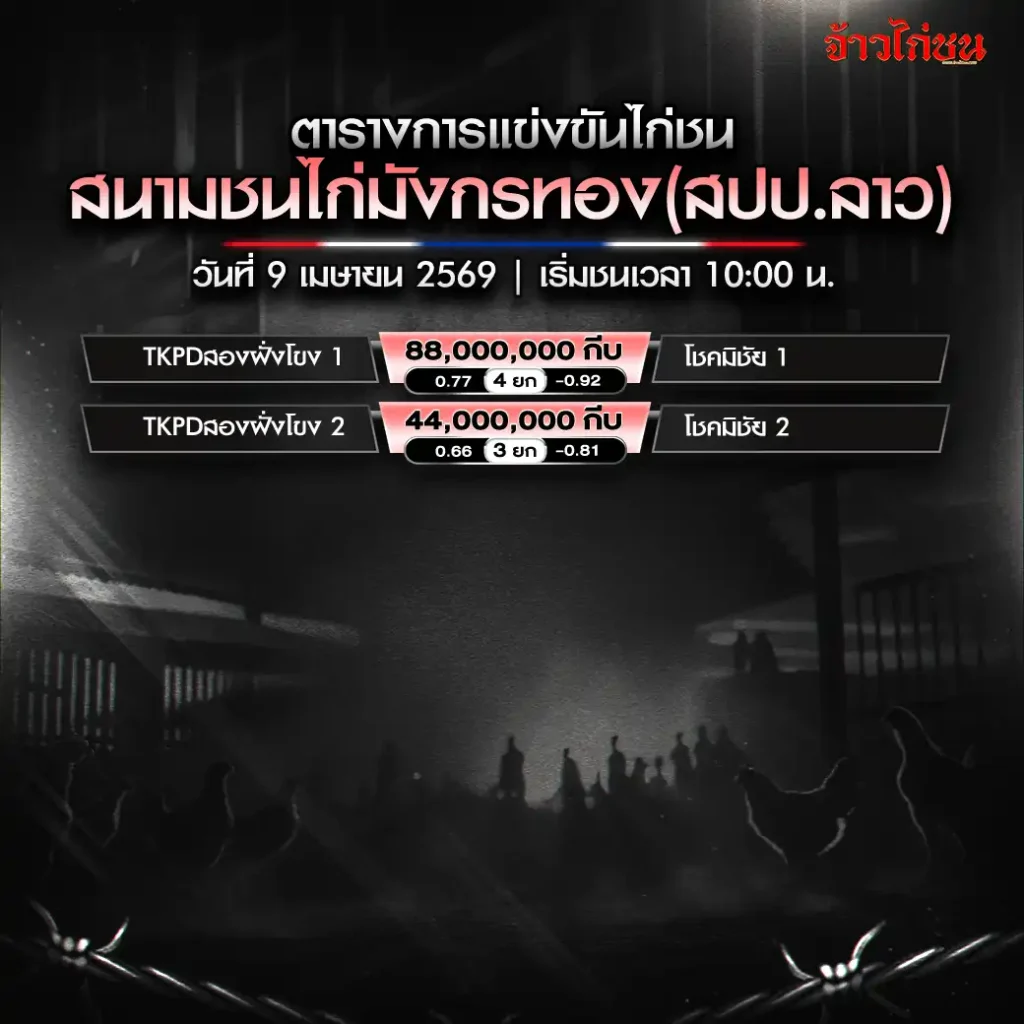 โปรแกรมไก่ชน สนามชนไก่มังกรทอง 9 เมษายน 2569