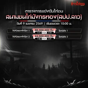 โปรแกรมไก่ชน สนามชนไก่มังกรทอง 9 เมษายน 2569
