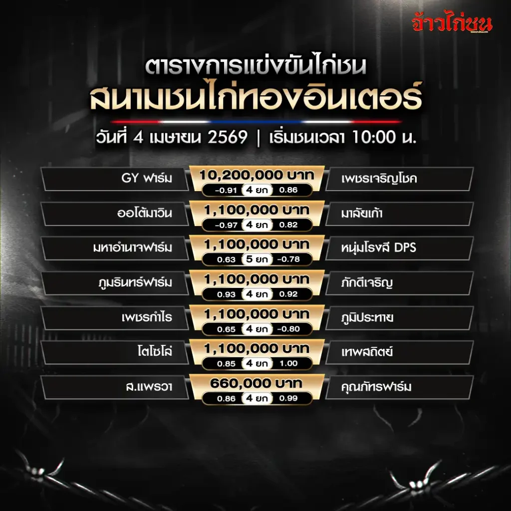 โปรแกรมไก่ชน สนามชนไก่ทองอินเตอร์ วันที่ 4 เมษายน 2569