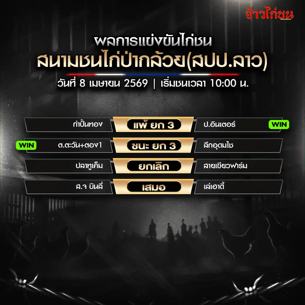 สรุปผลไก่ชน สนามชนไก่ป่ากล้วย 8 เมษายน 2569