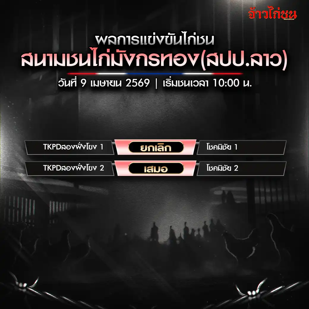 สรุปผลไก่ชน สนามชนไก่ป่ากล้วย 8 เมษายน 2026