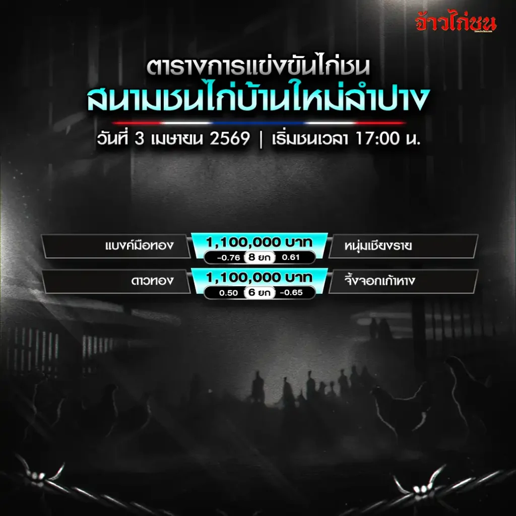 โปรแกรมไก่ชน สนามชนไก่PNMดอนหนูน888 วันที่ 3 เมษายน 2569