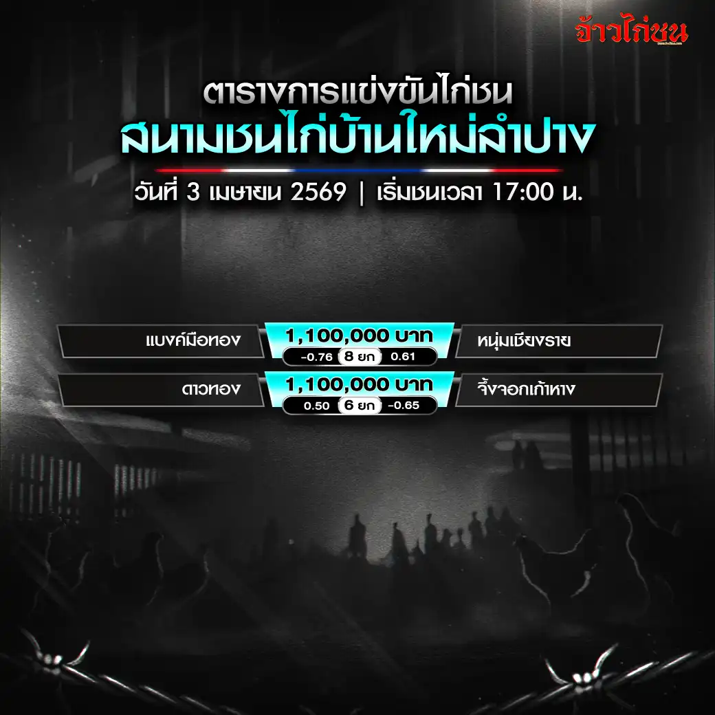 โปรแกรมไก่ชน สนามชนไก่PNMดอนหนูน888 วันที่ 3 เมษายน 2569
