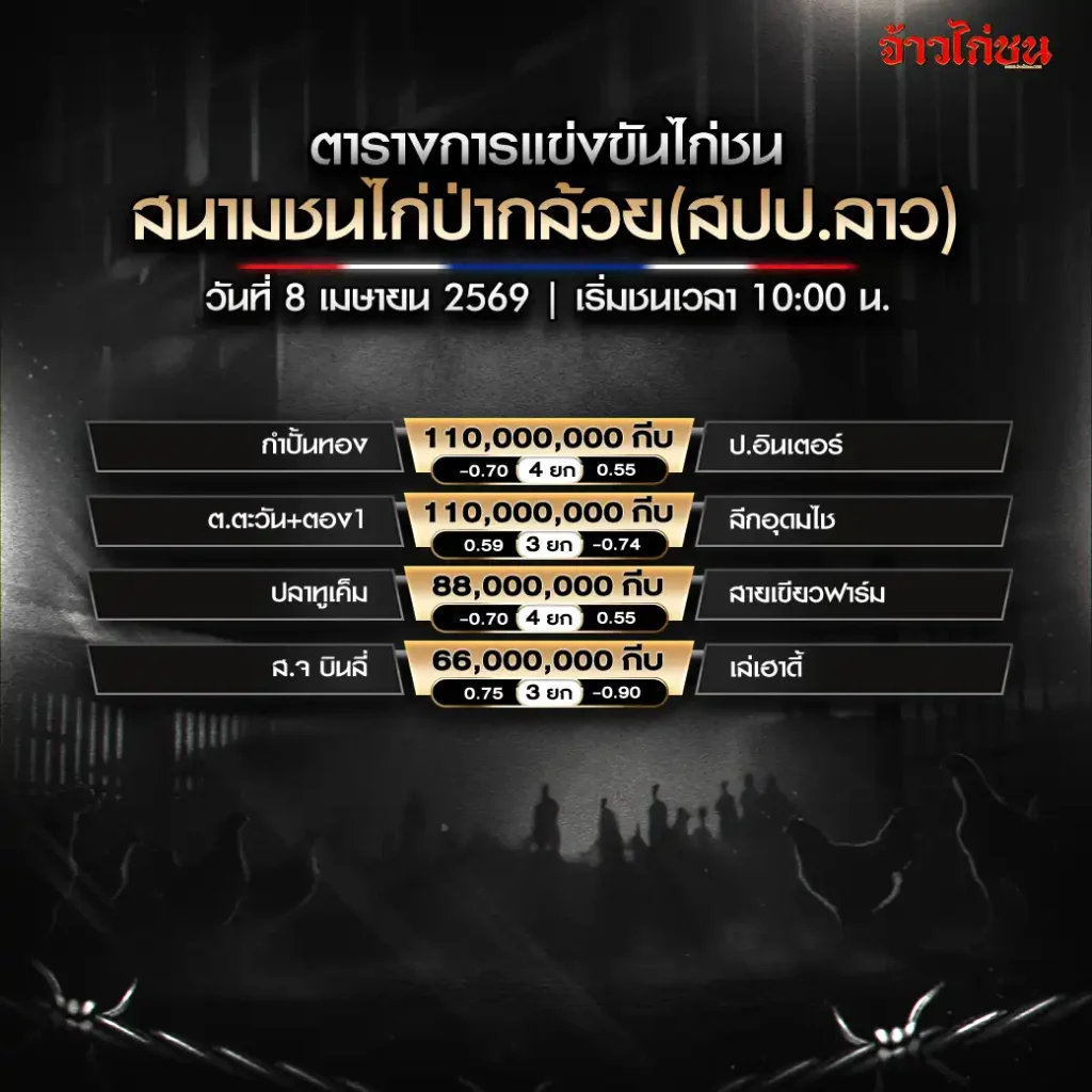 โปรแกรมไก่ชน สนามชนไก่ป่ากล้วย วันพุธที่ 8 เมษายน 2569