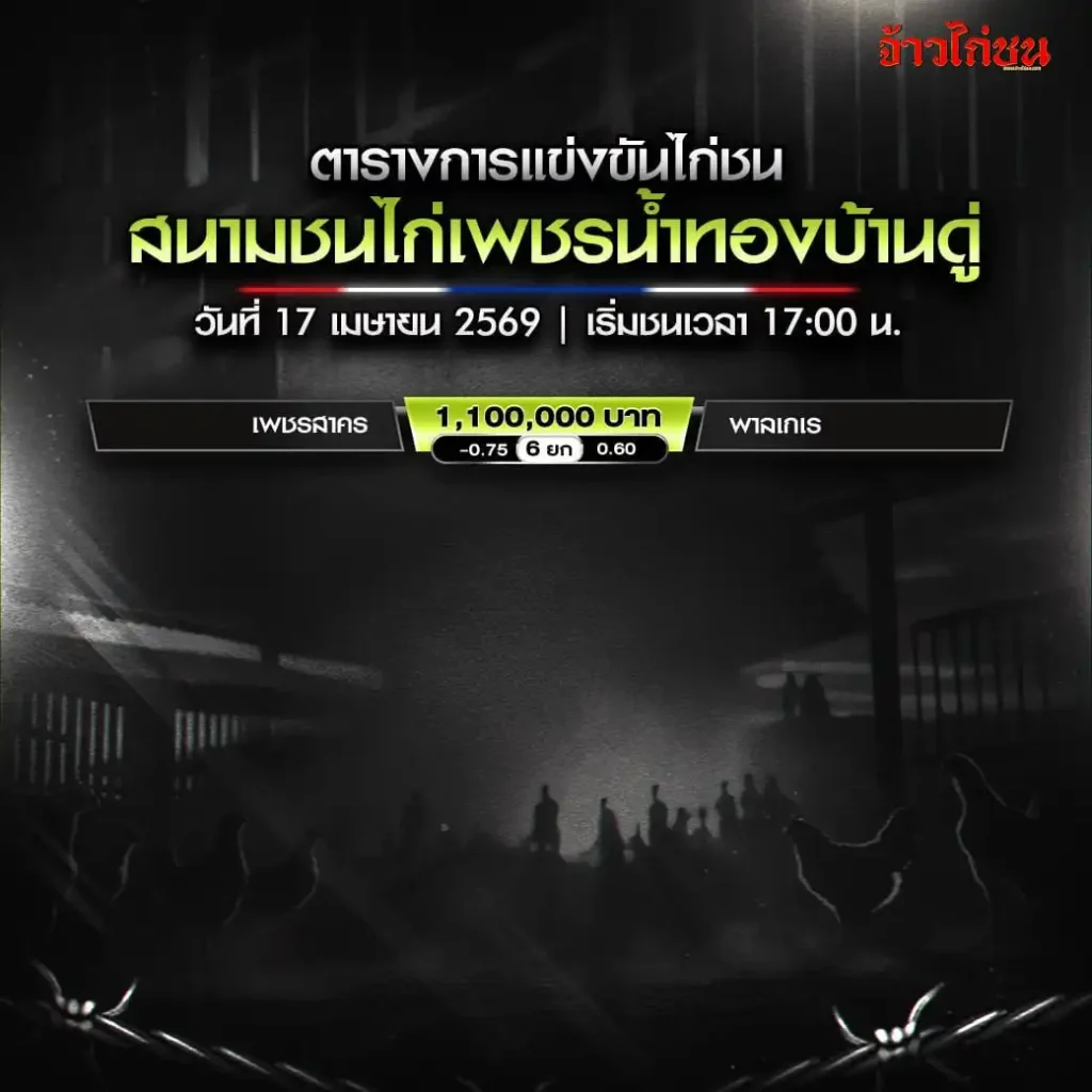 โปรแกรมไก่ชน สนามเพชรน้ำทองบ้านดู่ 17 เมษายน 2569