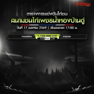 โปรแกรมไก่ชน สนามเพชรน้ำทองบ้านดู่ 17 เมษายน 2569
