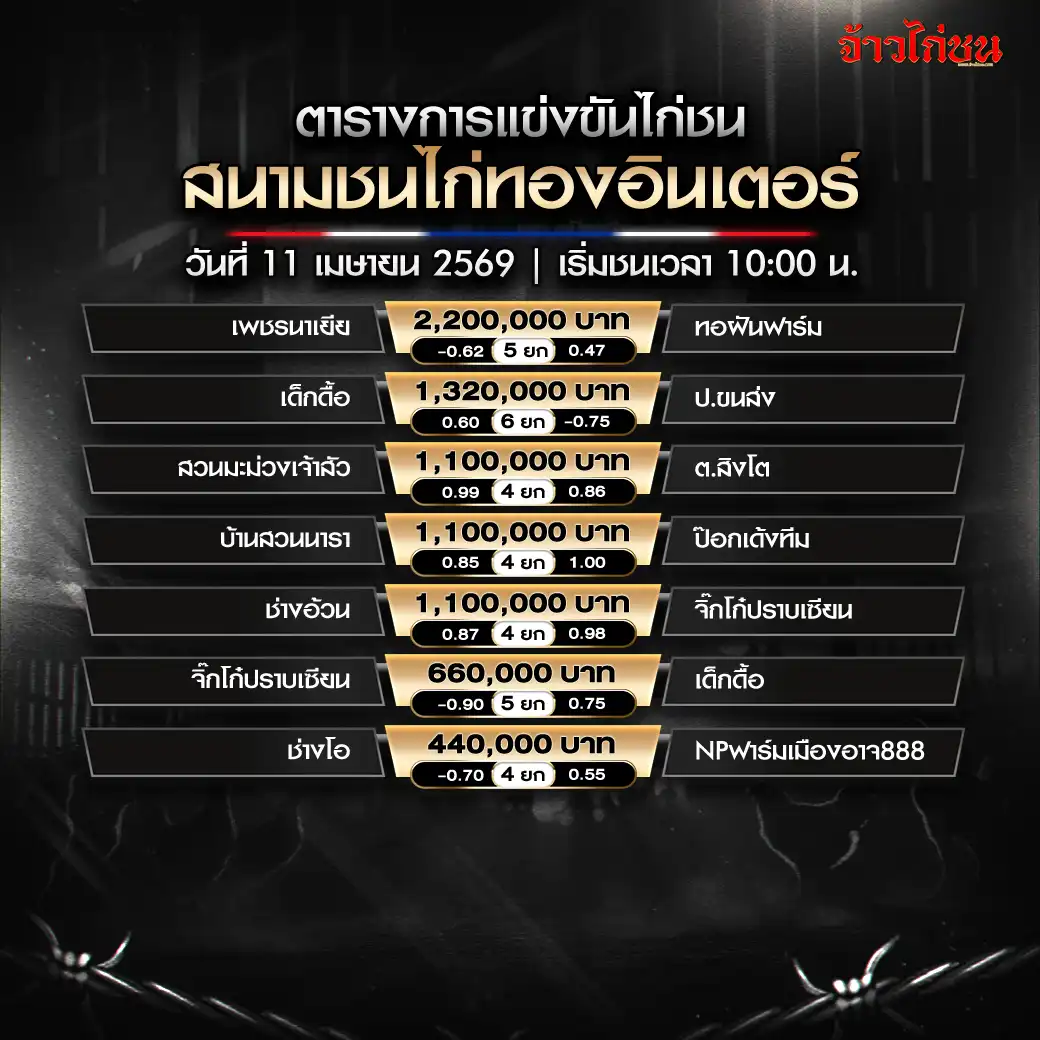โปรแกรมไก่ชน สนามชนไก่ทองอินเตอร์ วันที่ 11 เมษายน 2569