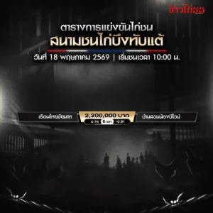โปรแกรมไก่ชน สนามชนไก่บึงทับแต้ 18 พฤษภาคม 2569