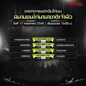 โปรแกรมไก่ชน สนามชนไก่นานาชาติเจ้าสัว 17 พฤษภาคม 2569