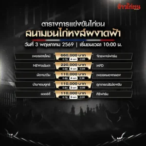 โปรแกรมไก่ชน สนามชนไก่หงส์ผงาดฟ้า วันที่ 3 พฤษภาคม 2569 ตารางการแข่งขัน