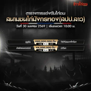 โปรแกรมไก่ชน สนามชนไก่มังกรทอง 30 เมษายน 2569
