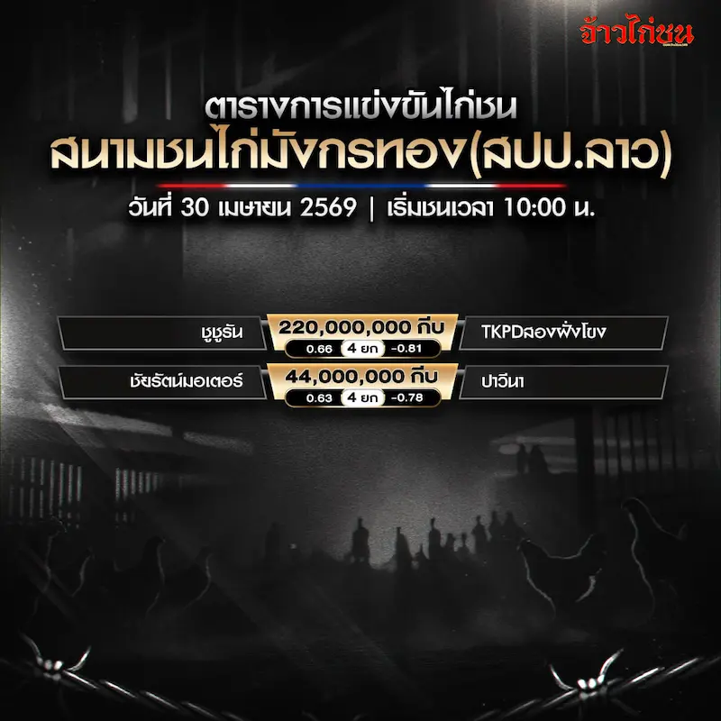 โปรแกรมไก่ชน สนามชนไก่มังกรทอง 30 เมษายน 2569