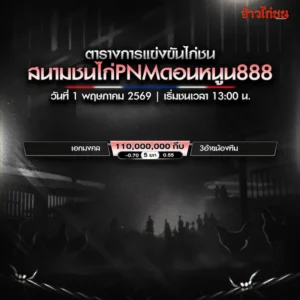 โปรแกรมไก่ชน สนามชนไก่ PNM ดอนหนูน888 1 พฤษภาคม 2569