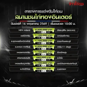 โปรแกรมไก่ชน สนามชนไก่ทองอินเตอร์ 16 พฤษภาคม 2569