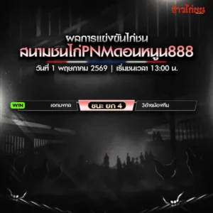 สรุปผลไก่ชน สนามชนไก่ PNM ดอนหนูน888 1 พฤษภาคม 2026