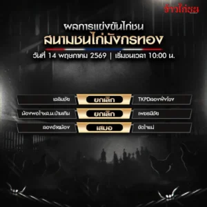 สรุปผลไก่ชน มังกรทอง 14 พฤษภาคม 2569