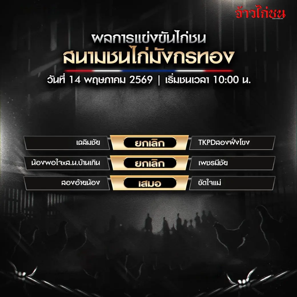 สรุปผลไก่ชน มังกรทอง 14 พฤษภาคม 2569