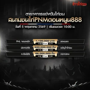 โปรแกรมไก่ชน สนามชนไก่ PNMดอนหนูน888 วันอังคารที่ 5 พฤษภาคม 2569